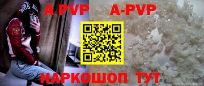 Альфа ПВП Гатчина