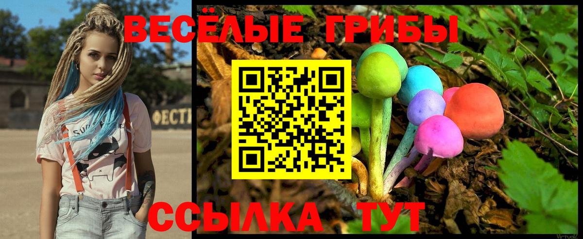 Псилоцибиновые грибы мухоморы  Вход с VPN  где можно купить наркотик  Псилоцибиновые грибы MAGIC MUSHROOMS  Бахчисарай 