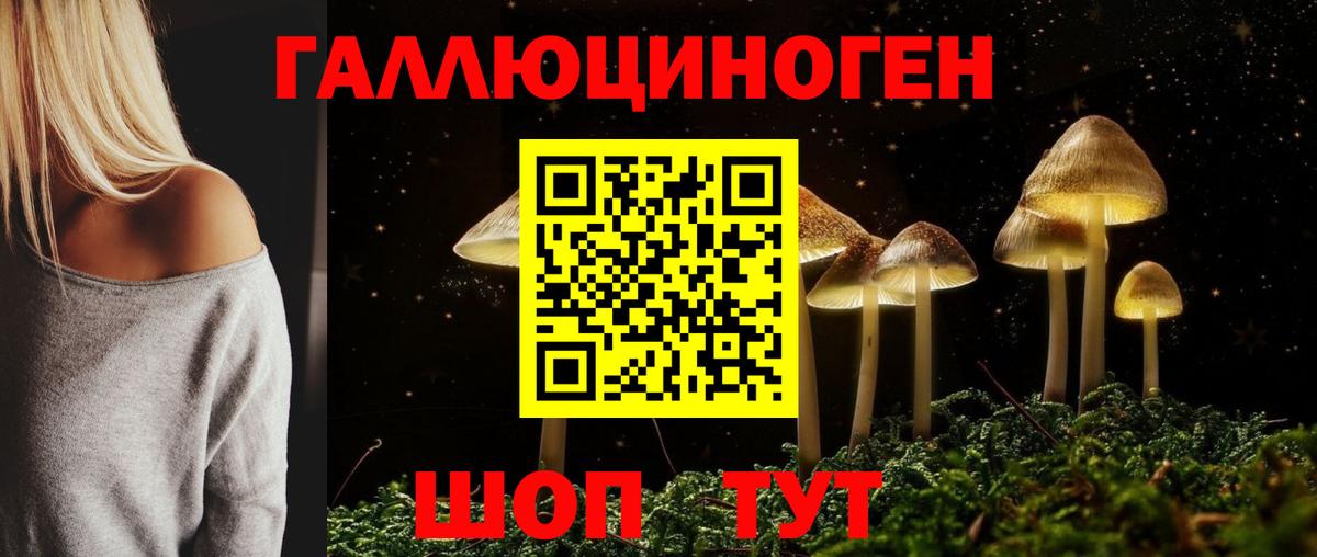 Псилоцибиновые грибы мицелий Бахчисарай